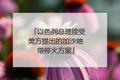 以色列总理接受美方提出的加沙地带停火方案