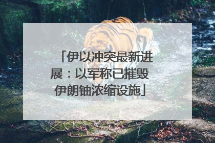 伊以冲突最新进展：以军称已摧毁伊朗铀浓缩设施
