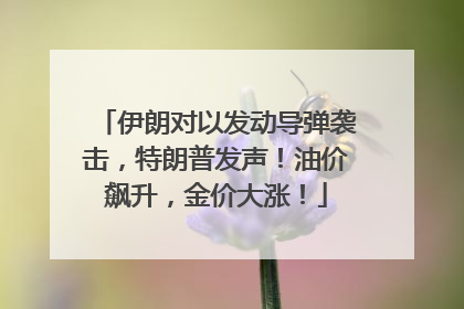 伊朗对以发动导弹袭击，特朗普发声！油价飙升，金价大涨！