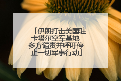 伊朗打击美国驻卡塔尔空军基地 多方谴责并呼吁停止一切军事行动