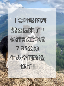 会呼吸的海绵公园来了！杨浦新江湾城7.35公顷生态空间改造焕新