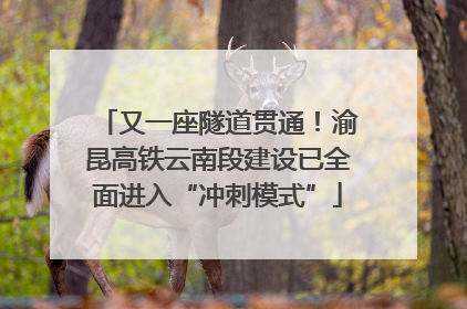又一座隧道贯通！渝昆高铁云南段建设已全面进入“冲刺模式”