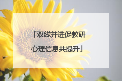 双线并进促教研 心理信息共提升