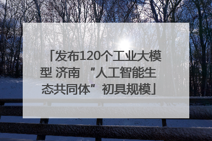 发布120个工业大模型 济南 “人工智能生态共同体”初具规模
