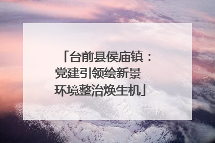 台前县侯庙镇：党建引领绘新景 环境整治焕生机
