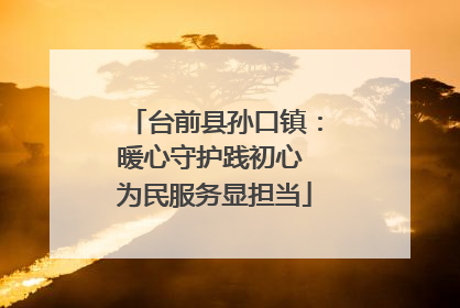 台前县孙口镇：暖心守护践初心 为民服务显担当