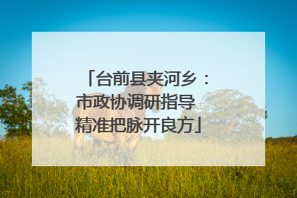 台前县夹河乡：市政协调研指导 精准把脉开良方