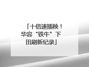 十倍速插秧！华容“铁牛”下田刷新纪录