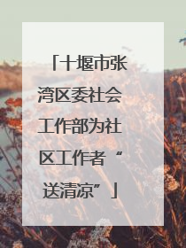 十堰市张湾区委社会工作部为社区工作者“送清凉”