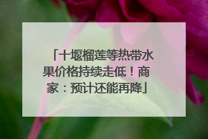 十堰榴莲等热带水果价格持续走低！商家：预计还能再降