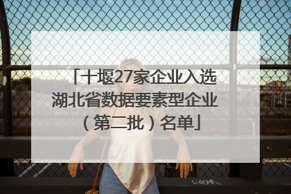 十堰27家企业入选湖北省数据要素型企业（第二批）名单