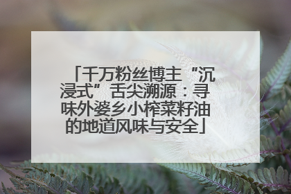 千万粉丝博主“沉浸式”舌尖溯源：寻味外婆乡小榨菜籽油的地道风味与安全