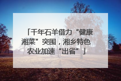 千年石羊借力“健康湘菜”突围，湘乡特色农业加速“出省”