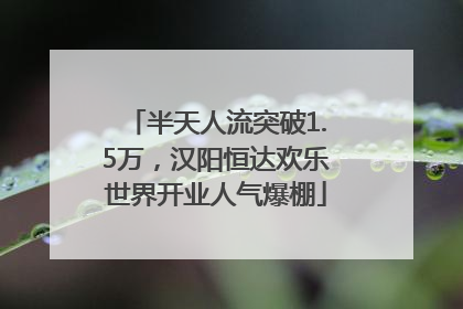 半天人流突破1.5万，汉阳恒达欢乐世界开业人气爆棚