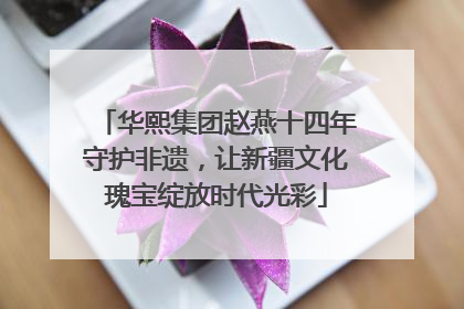 华熙集团赵燕十四年守护非遗，让新疆文化瑰宝绽放时代光彩