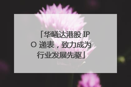 华曦达港股 IPO 递表，致力成为行业发展先驱