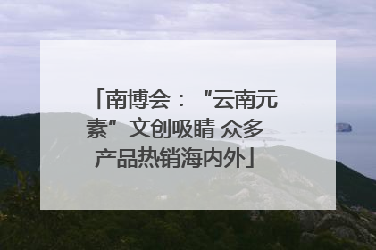 南博会：“云南元素”文创吸睛 众多产品热销海内外