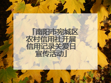 南阳市宛城区农村信用社开展信用记录关爱日宣传活动