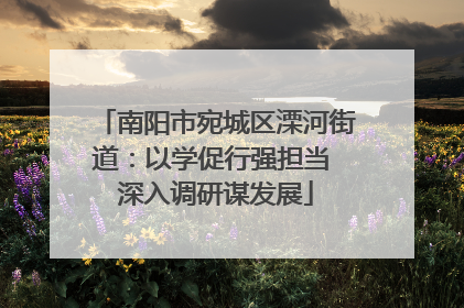 南阳市宛城区溧河街道：以学促行强担当 深入调研谋发展