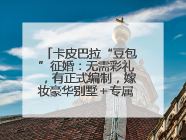 卡皮巴拉“豆包”征婚：无需彩礼，有正式编制，嫁妆豪华别墅＋专属泳池！