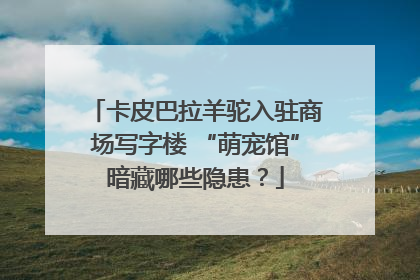 卡皮巴拉羊驼入驻商场写字楼 “萌宠馆”暗藏哪些隐患？
