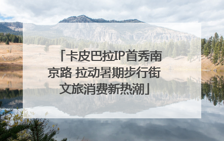卡皮巴拉IP首秀南京路 拉动暑期步行街文旅消费新热潮