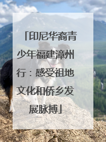 印尼华裔青少年福建漳州行：感受祖地文化和侨乡发展脉搏