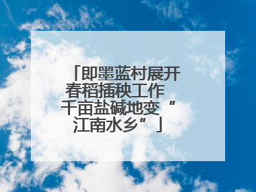 即墨蓝村展开春稻插秧工作 千亩盐碱地变“江南水乡”