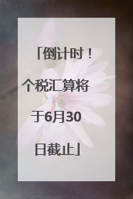 倒计时！个税汇算将于6月30日截止