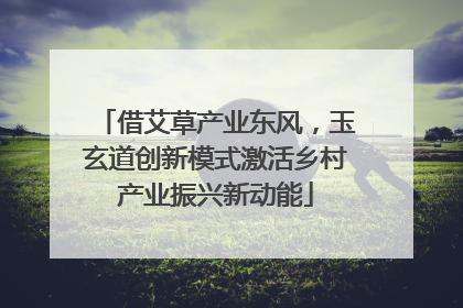 借艾草产业东风，玉玄道创新模式激活乡村产业振兴新动能
