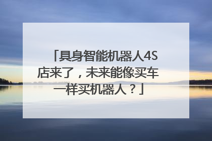 具身智能机器人4S店来了，未来能像买车一样买机器人？