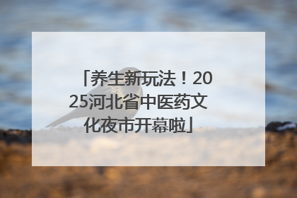 养生新玩法！2025河北省中医药文化夜市开幕啦