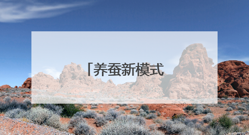 养蚕新模式带来高收益