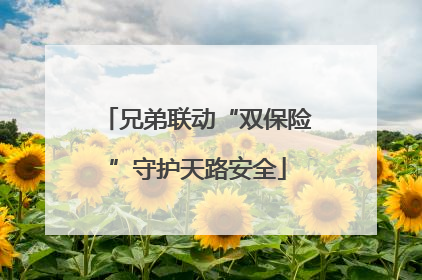 兄弟联动“双保险”守护天路安全