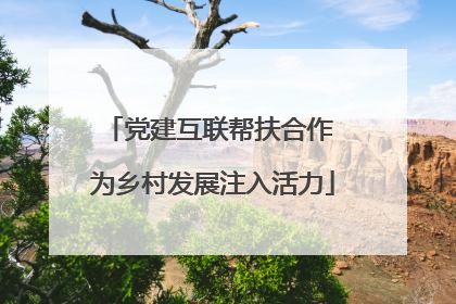 党建互联帮扶合作 为乡村发展注入活力
