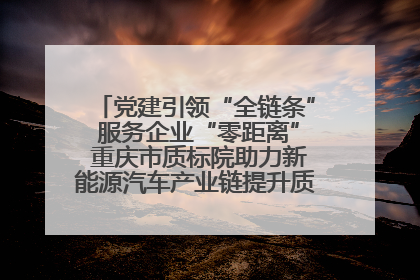 党建引领“全链条” 服务企业“零距离” 重庆市质标院助力新能源汽车产业链提升质量管理水平