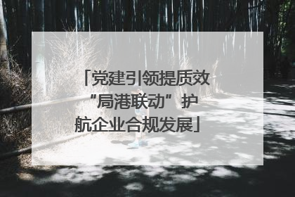 党建引领提质效 “局港联动”护航企业合规发展