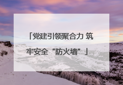 党建引领聚合力 筑牢安全“防火墙”