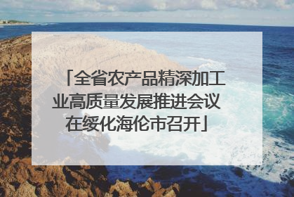 全省农产品精深加工业高质量发展推进会议在绥化海伦市召开