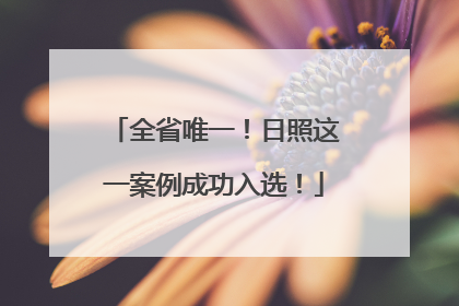 全省唯一！日照这一案例成功入选！