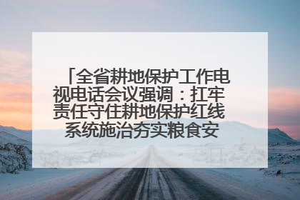 全省耕地保护工作电视电话会议强调：扛牢责任守住耕地保护红线 系统施治夯实粮食安全根基 王宁作出批示 王予波出席并讲话