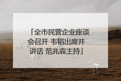 全市民营企业座谈会召开 韦韬出席并讲话 范兆森主持
