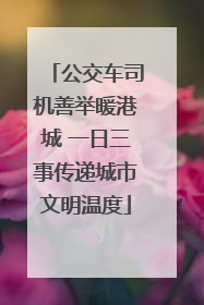 公交车司机善举暖港城 一日三事传递城市文明温度