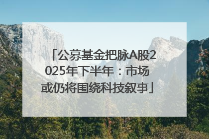 公募基金把脉A股2025年下半年：市场或仍将围绕科技叙事