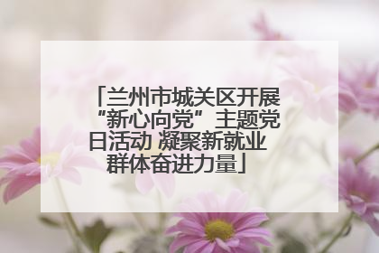 兰州市城关区开展“新心向党”主题党日活动 凝聚新就业群体奋进力量
