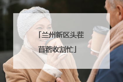 兰州新区头茬苜蓿收割忙