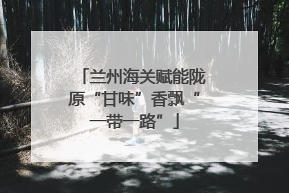 兰州海关赋能陇原“甘味”香飘“一带一路”