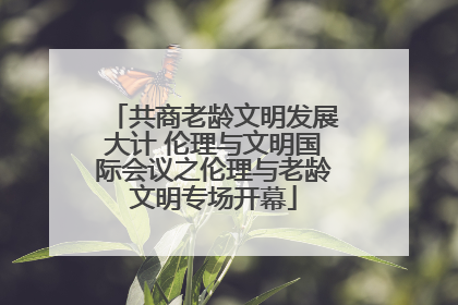 共商老龄文明发展大计 伦理与文明国际会议之伦理与老龄文明专场开幕