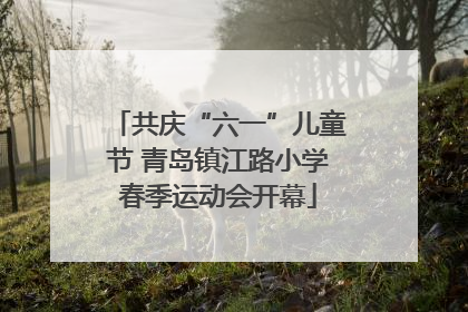 共庆“六一”儿童节 青岛镇江路小学春季运动会开幕