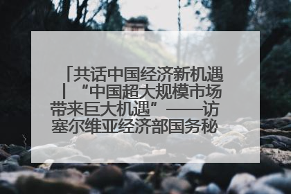 共话中国经济新机遇丨“中国超大规模市场带来巨大机遇”——访塞尔维亚经济部国务秘书尼科利奇